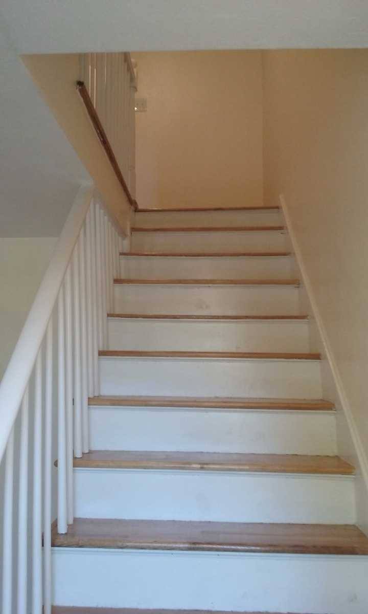 Apartment for rent at 17 N Crescent Circuit, Brighton, MA 02135