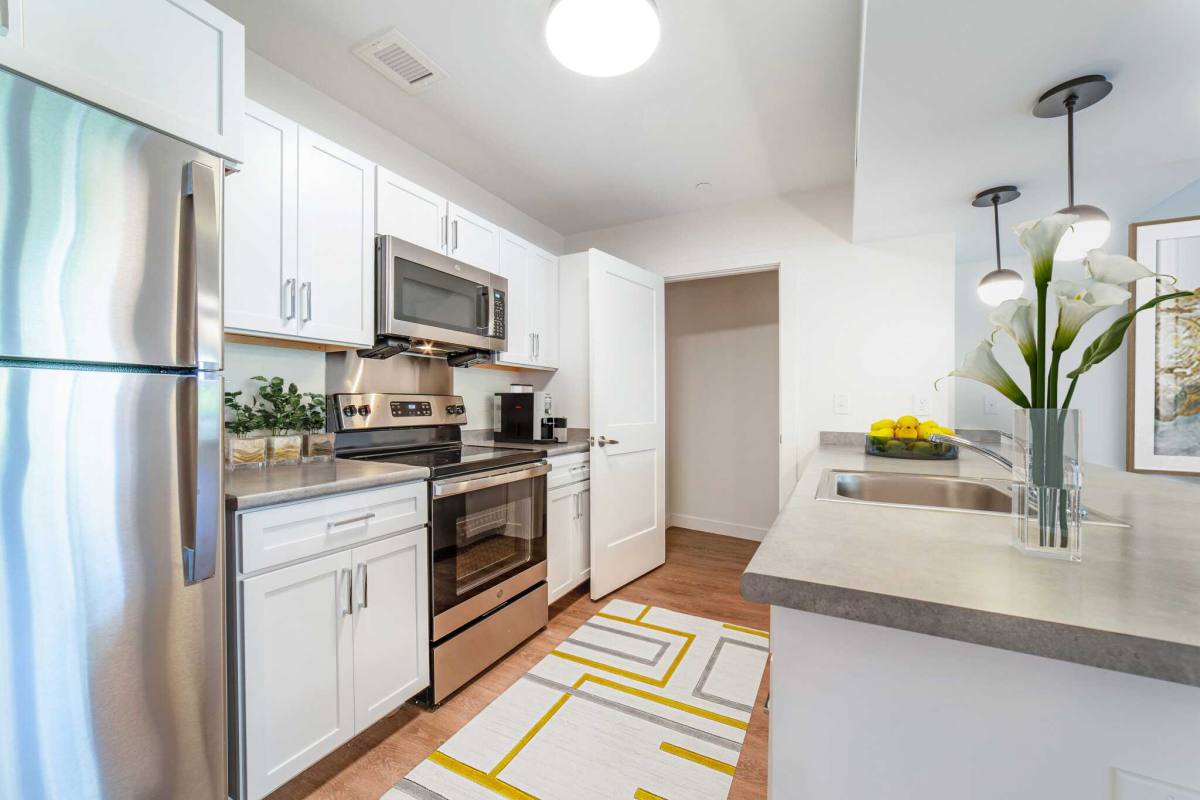 Apartment for rent at 1218 W Roxbury Hs Athletic Fields, West Roxbury, MA 02132