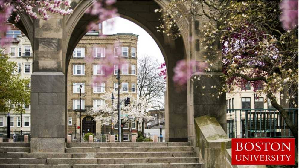 Apartment for rent at 454 Park Dr, Boston, MA 02215