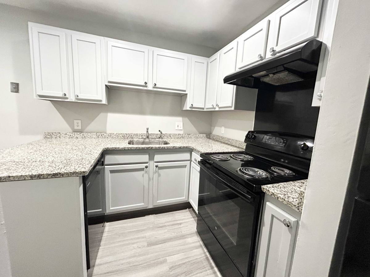 Apartment for rent at 19 Ruggles St, Roxbury, MA 02119