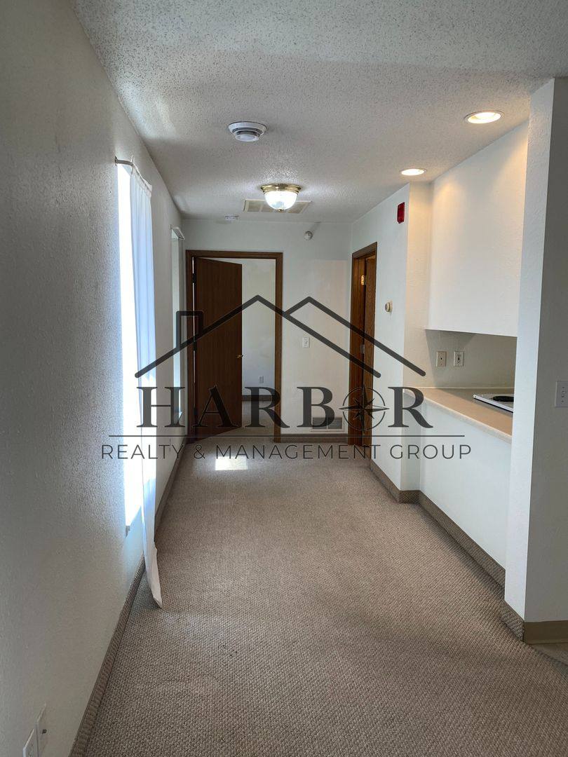 Apartment for rent at 146 S Broadway Ave #102, Spring Valley, MN 55975