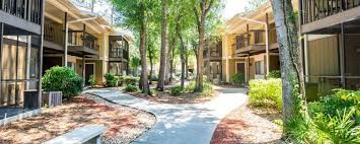 Condo for rent at 13403 Arbor Pointe Circle, Tampa, FL 33617