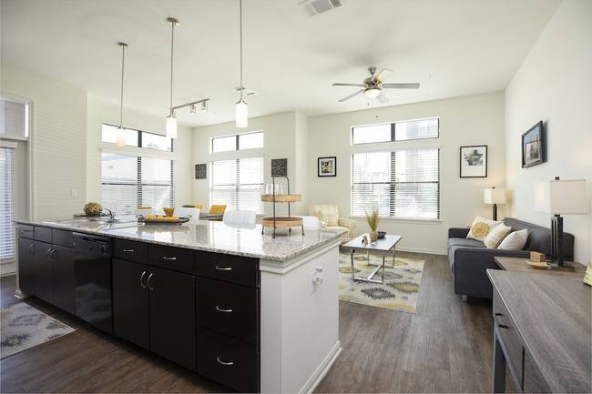 Apartment for rent at 8700 Main St #HM1, Houston, TX 77025