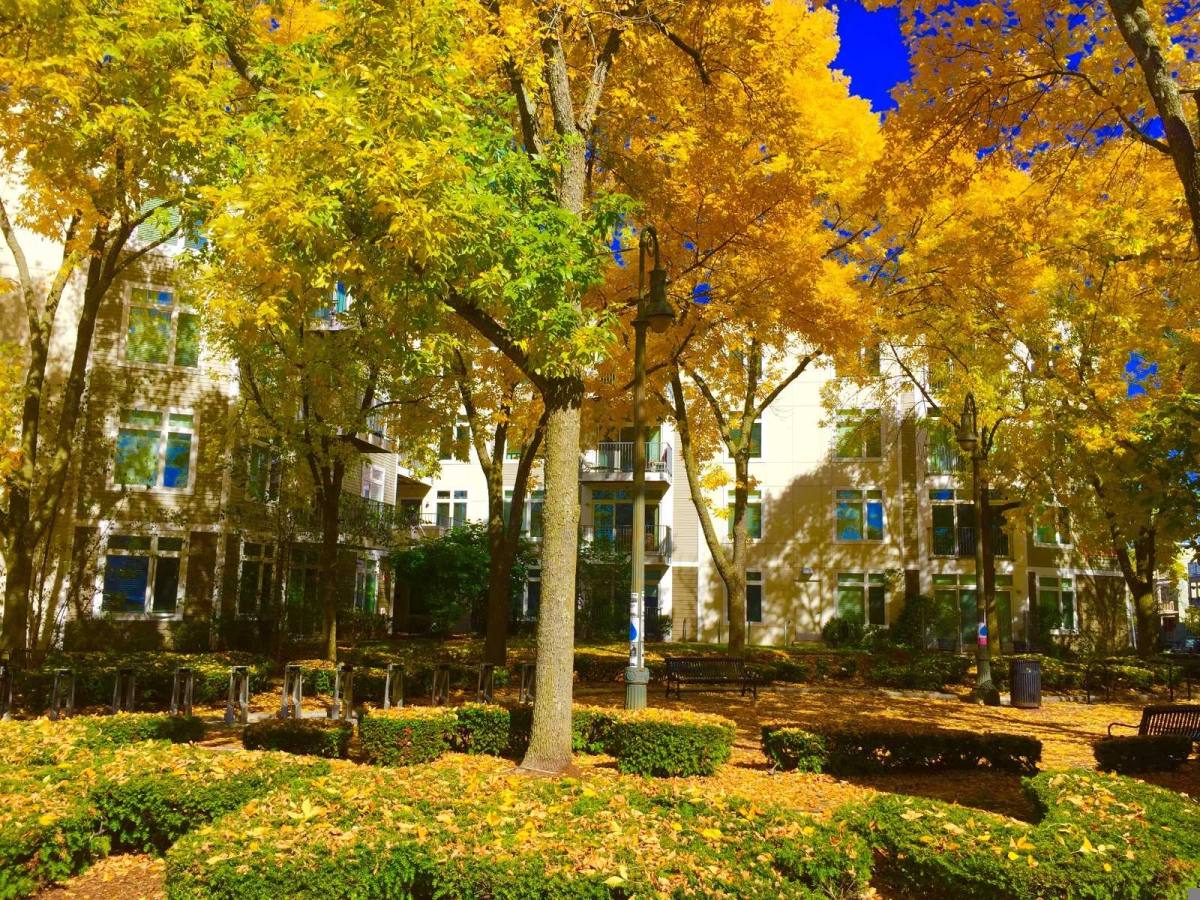 Apartment for rent at 17 Cameron Ave, Cambridge, MA 02140