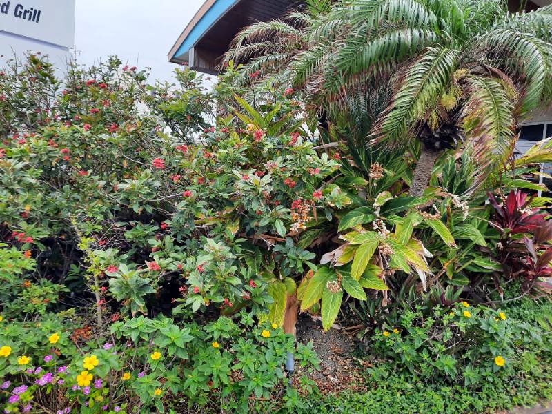 Apartment for rent at 512 Phoenix Ave #3, Daytona Beach, FL 32118