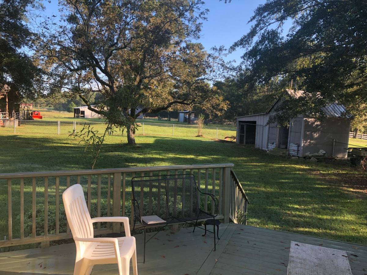 House for rent at 3180 Lee Rd, Auburn, AL 36832