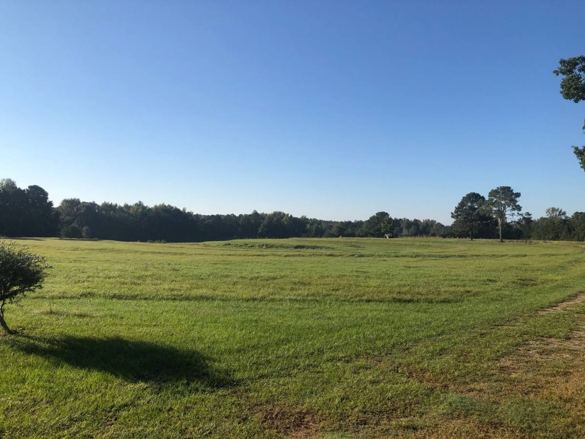 House for rent at 3180 Lee Rd, Auburn, AL 36832