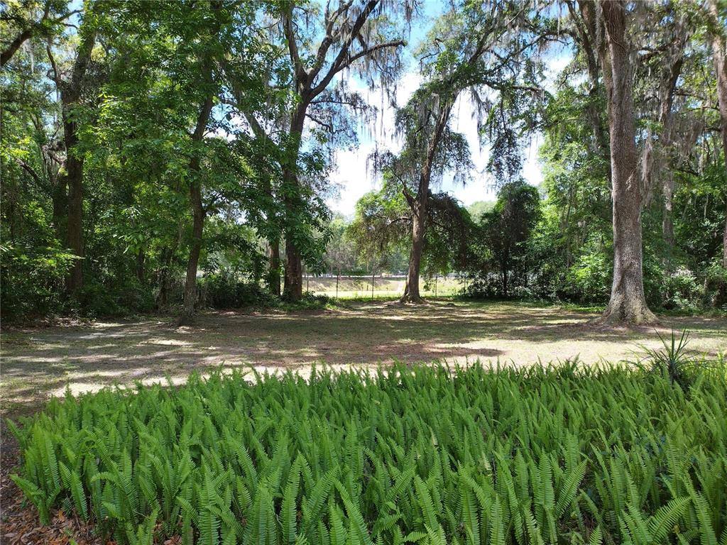 Apartment for rent at 1602 SW Williston Rd #1602A, Gainesville, FL 32608