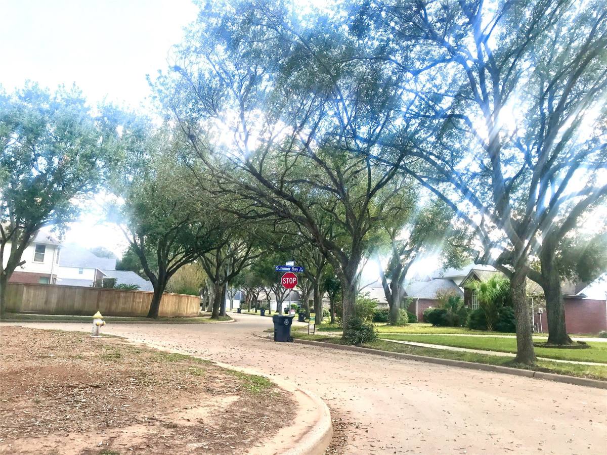 Apartment for rent at 2203 Summer Bay Court, Sugar Land, TX 77478