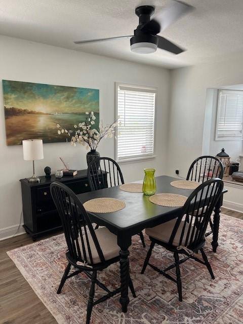 Apartment for rent at 1127 E 11th Ave, Mount Dora, FL 32757