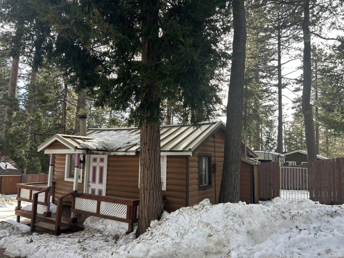 Apartment for rent at 25055 Marion Ridge Dr #5, Idyllwild, CA 92549