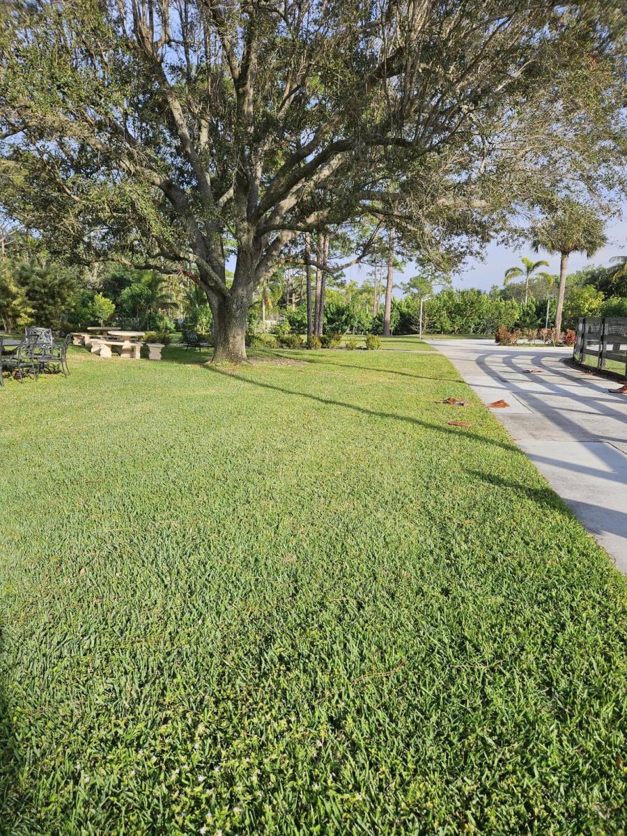 Apartment for rent at 11334 81st Court N #11334GUEST Cottage, West Palm Beach, FL 33412