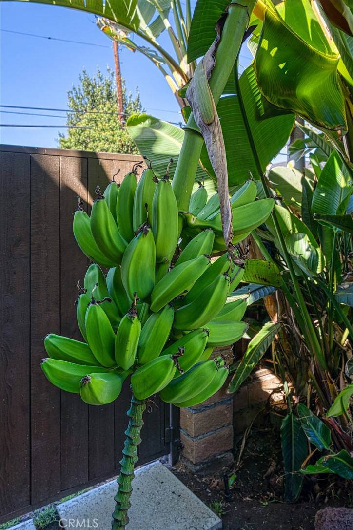 Apartment for rent at 1244 N Las Palmas Ave, Los Angeles, CA 90038