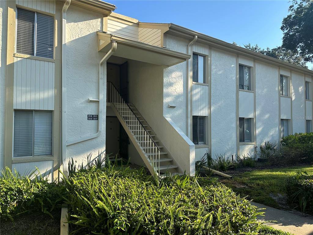 Condo for rent at 207 Palmetto Court #207, Oldsmar, FL 34677