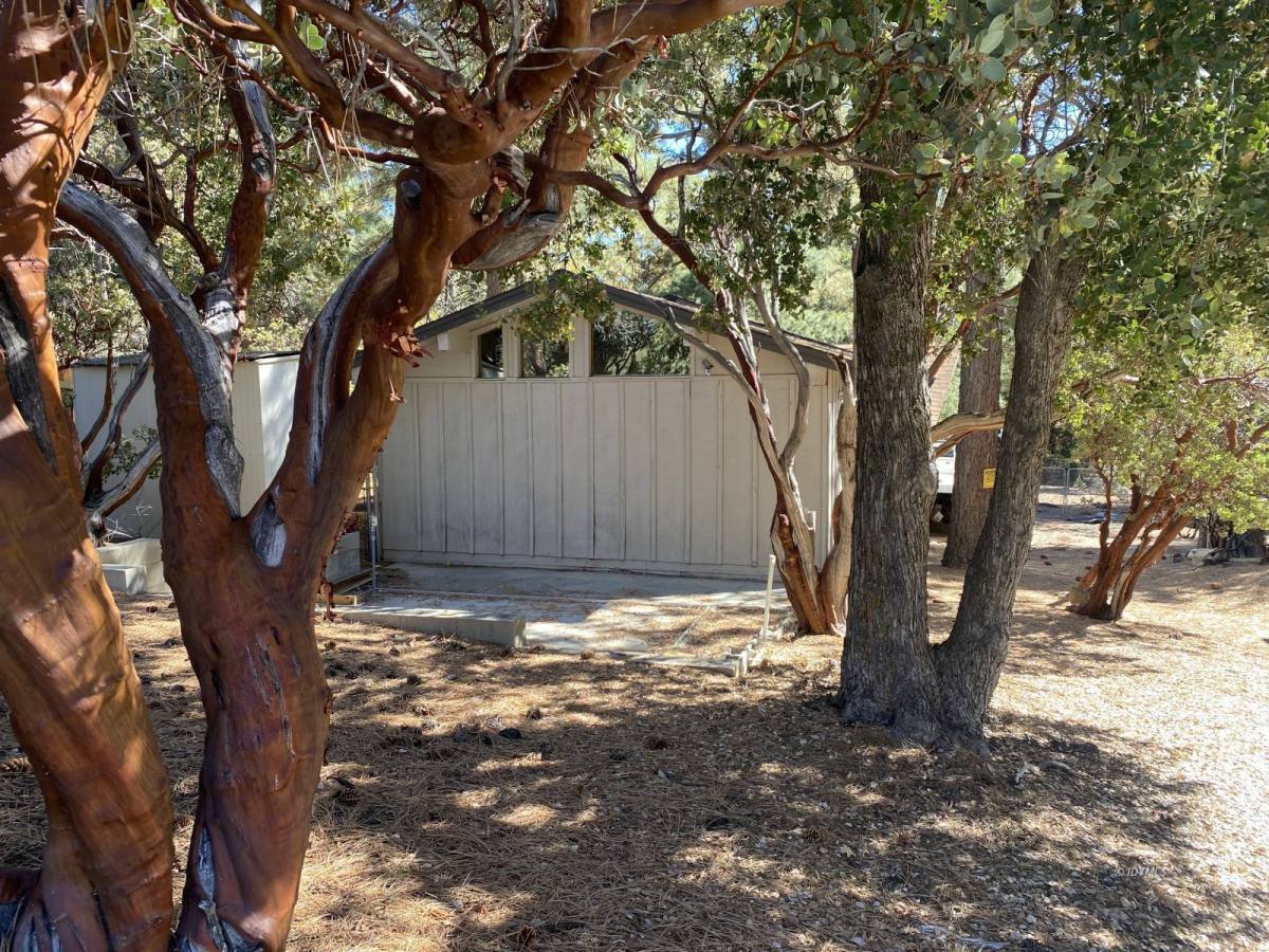 Apartment for rent at 25300 Marion Ridge Dr, Idyllwild, CA 92549