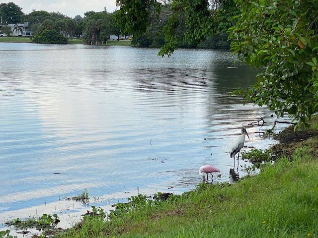 Apartment for rent at 3360 Lake Osborne Dr #107, Lake Worth, FL 33461