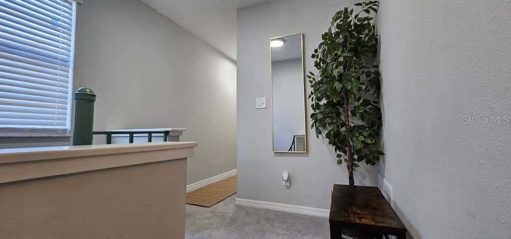 Apartment for rent at 10213 N Ojus Dr, Tampa, FL 33617