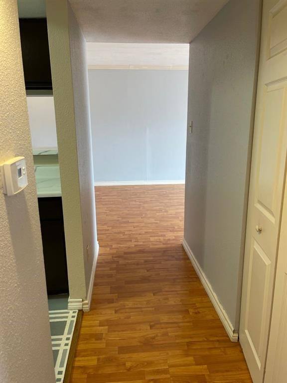 Condo for rent at 2820 S Bartell Dr #24, Houston, TX 77054