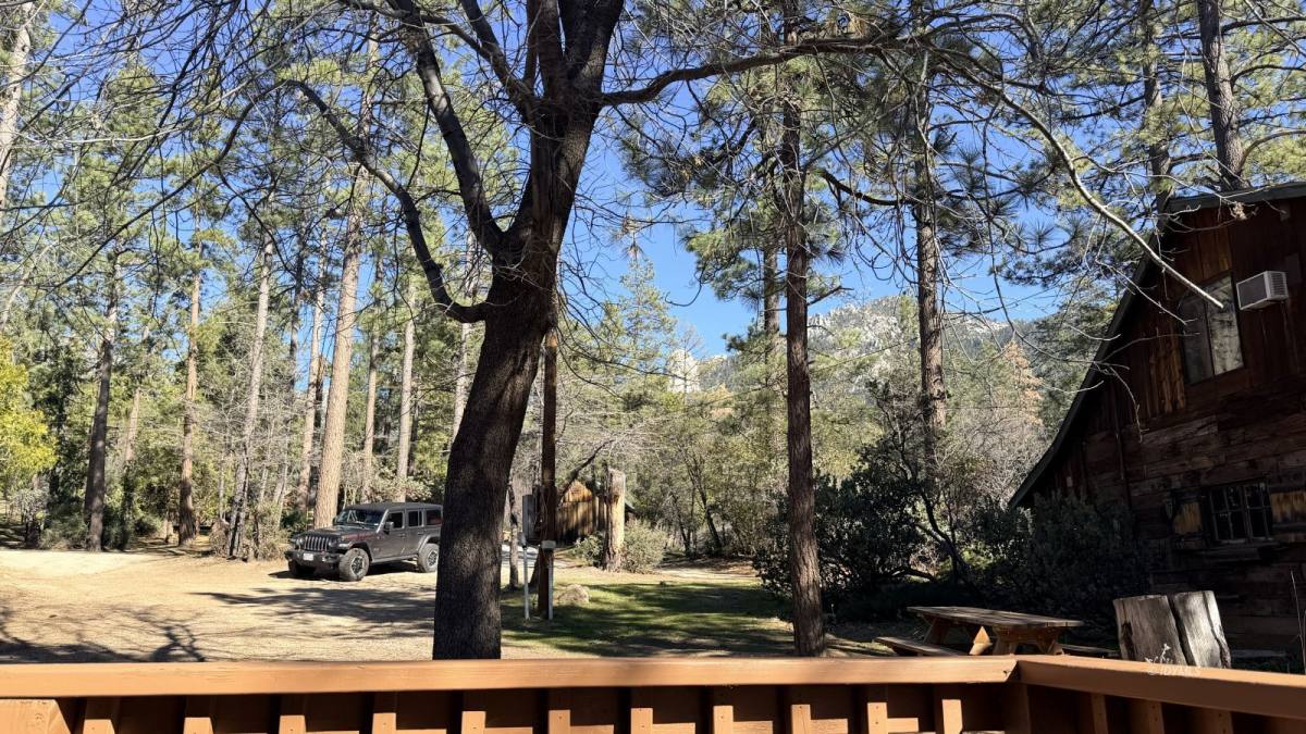 Apartment for rent at 25679 Alderwood St #25679A, Idyllwild, CA 92549