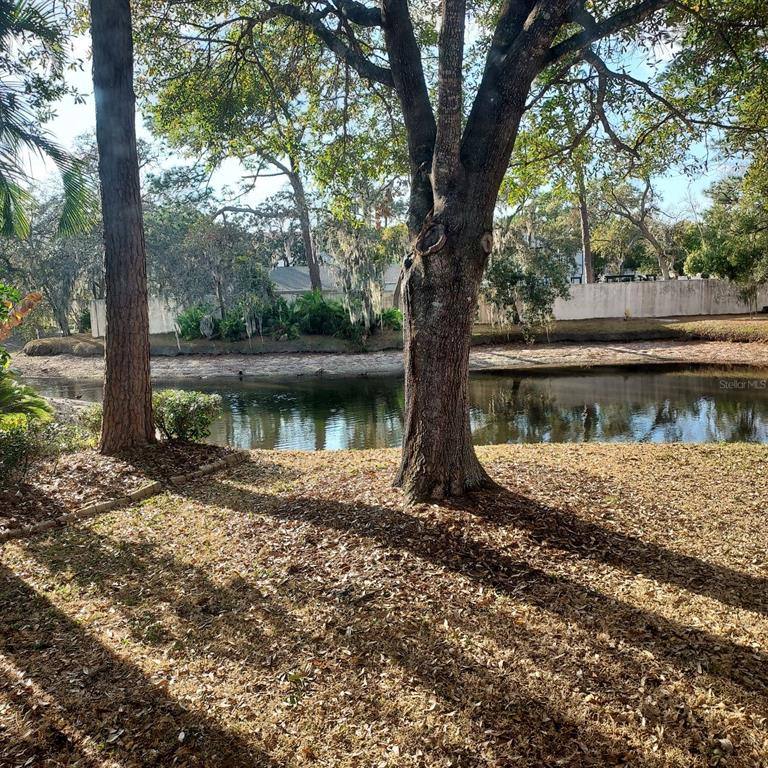 Apartment for rent at 13804 Lazy Oak Dr, Tampa, FL 33613