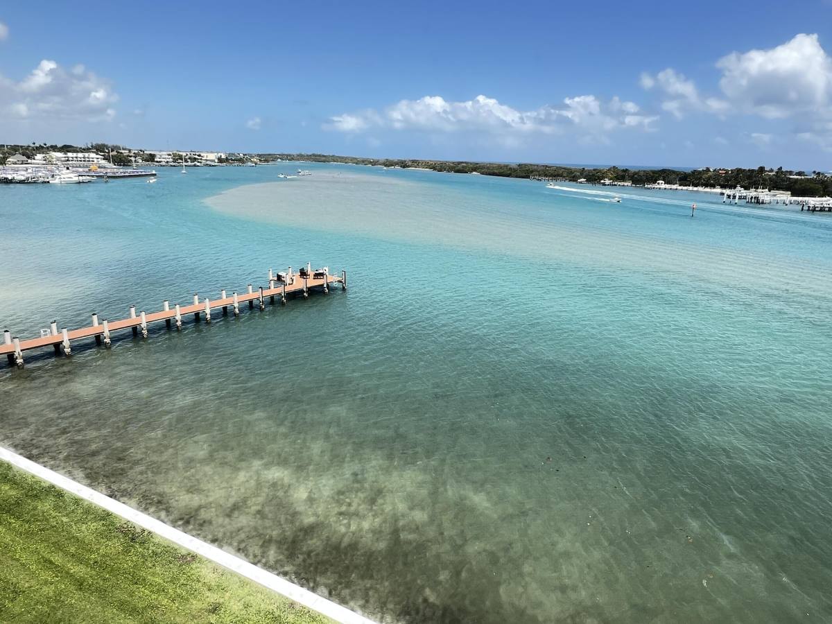 Condo for rent at 100 Intracoastal Place #501, Jupiter, FL 33469