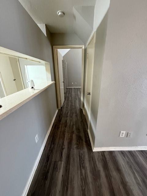 Apartment for rent at 14550 Fonmeadow Dr #1002, Houston, TX 77035