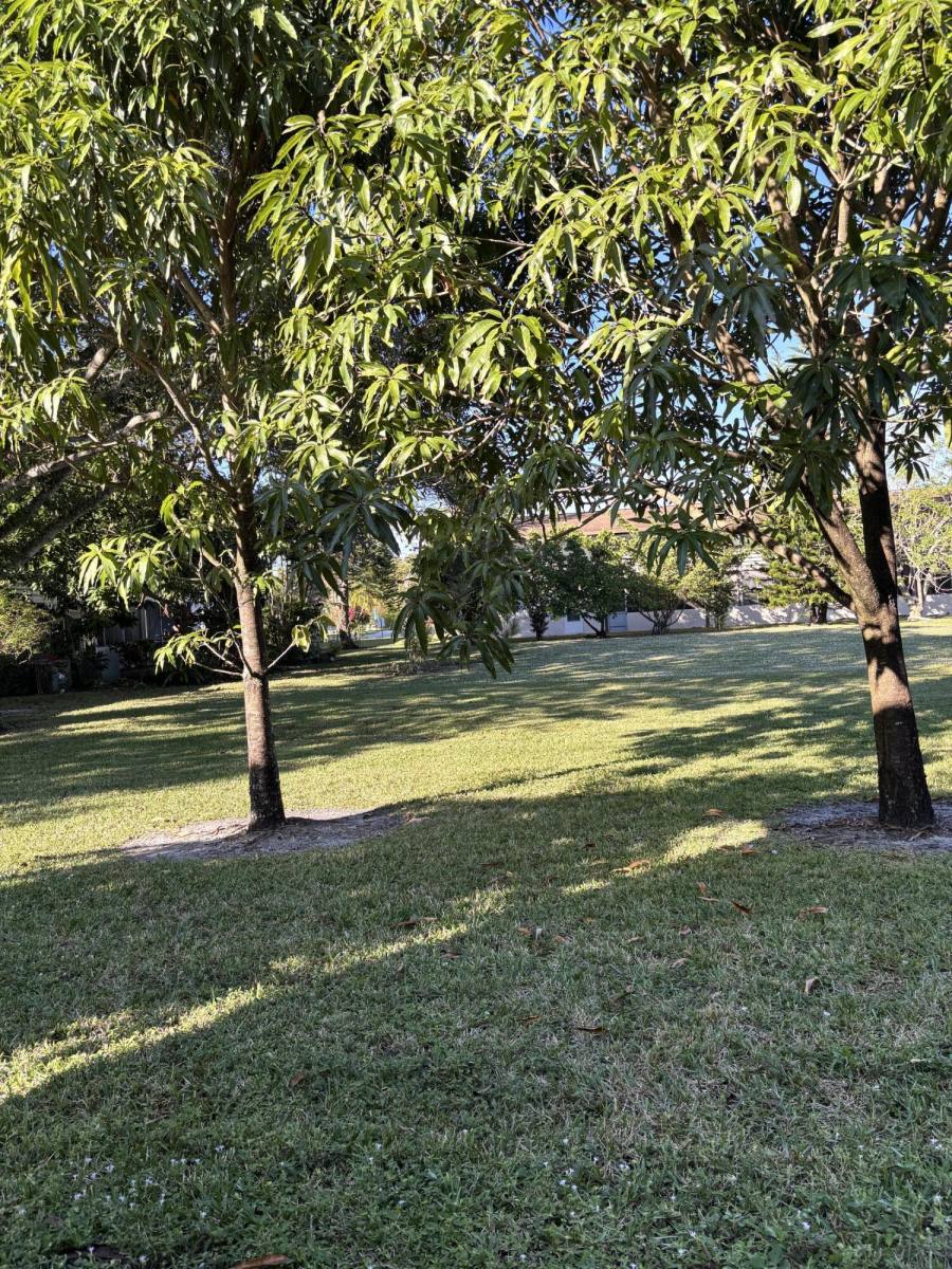 Apartment for rent at 197 Sussex K #197, West Palm Beach, FL 33417