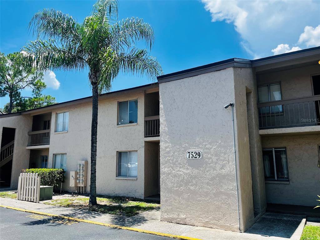 Apartment for rent at 7529 Pitch Pine Circle #7529D, Tampa, FL 33617