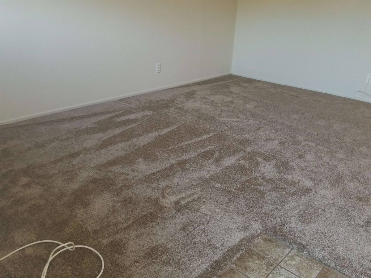 Apartment for rent at 1738 Fourth St, Livermore, CA 94550