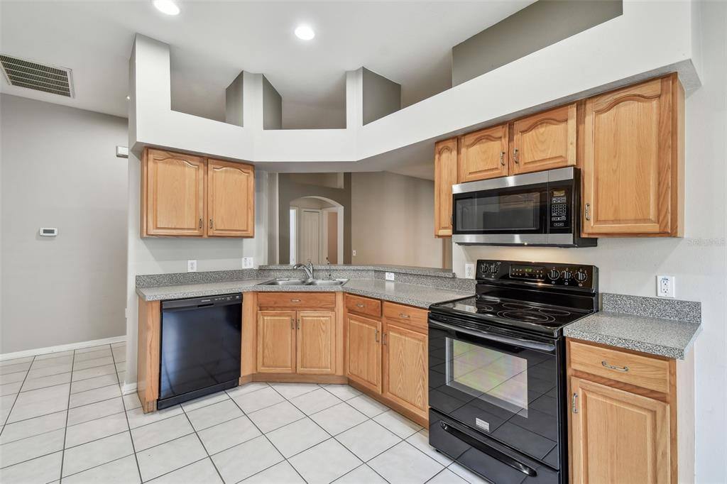 Apartment for rent at 15807 Leatherleaf Lane, Land O Lakes, FL 34638