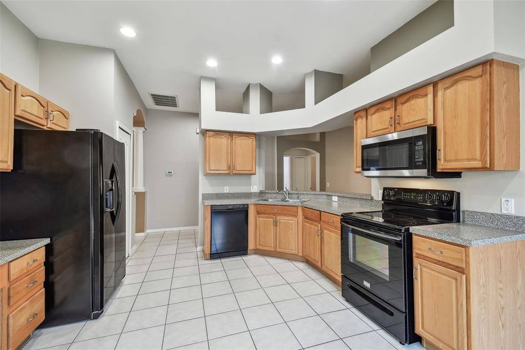 Apartment for rent at 15807 Leatherleaf Lane, Land O Lakes, FL 34638