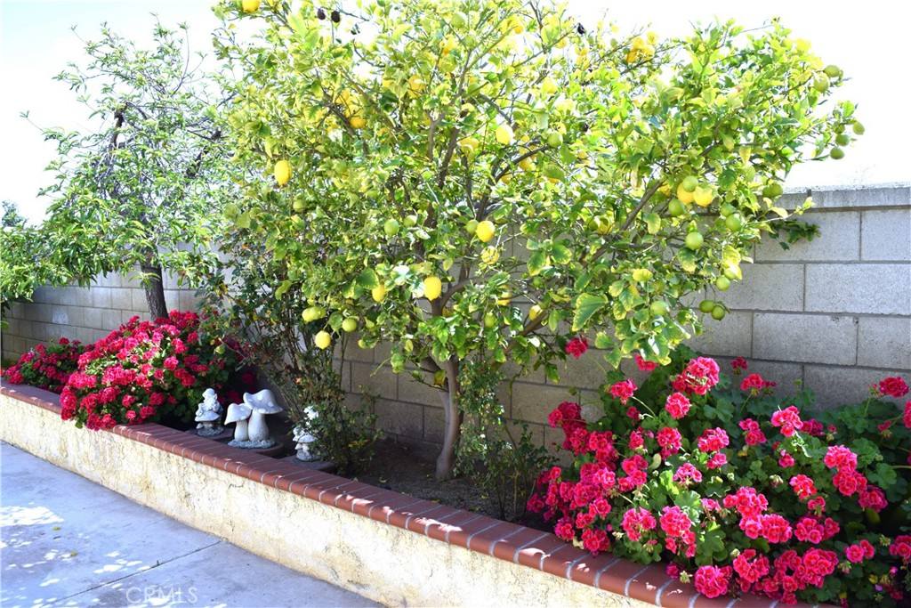 Apartment for rent at 39723 Clements Way, Murrieta, CA 92563