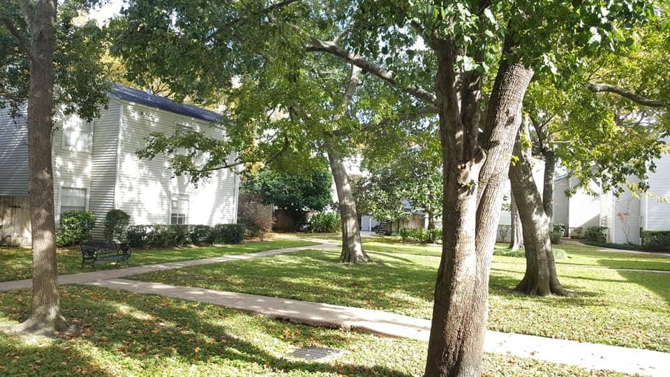 Condo for rent at 9809 Richmond Ave #9809A7, Houston, TX 77063