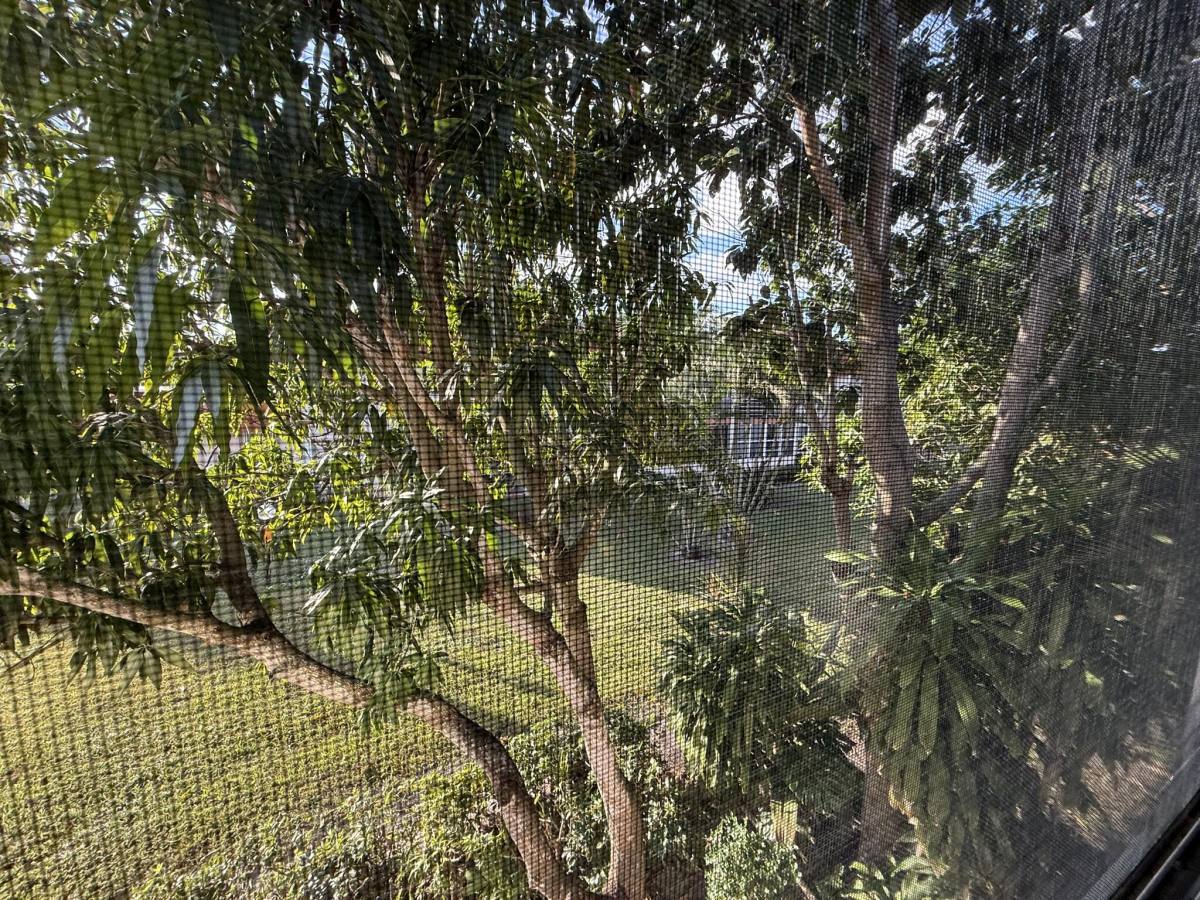 Condo for rent at 12009 Poinciana Blvd #204, West Palm Beach, FL 33411