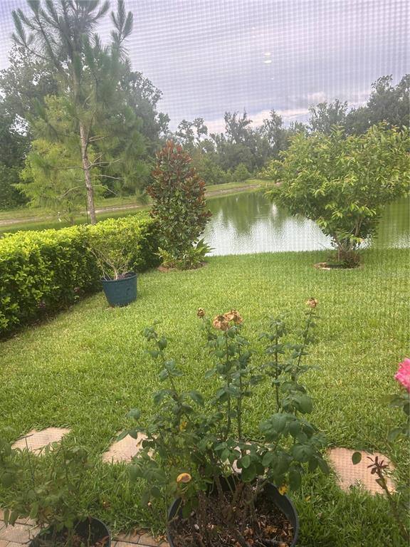 Apartment for rent at 7128 Steer Blade Dr, Zephyrhills, FL 33541