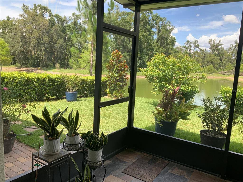 Apartment for rent at 7128 Steer Blade Dr, Zephyrhills, FL 33541