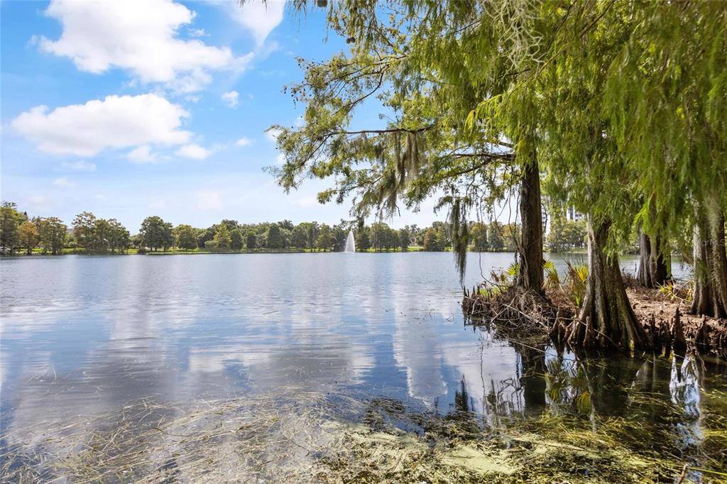 Townhouse for rent at 266 Park Lake St #19, Orlando, FL 32803