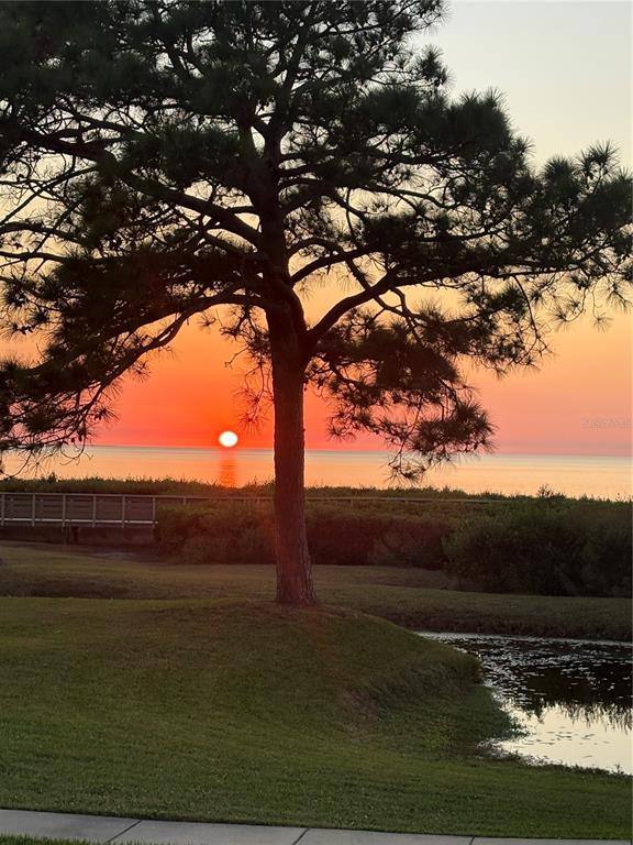 Apartment for rent at 621 Windrush Bay Dr #621, Tarpon Springs, FL 34689