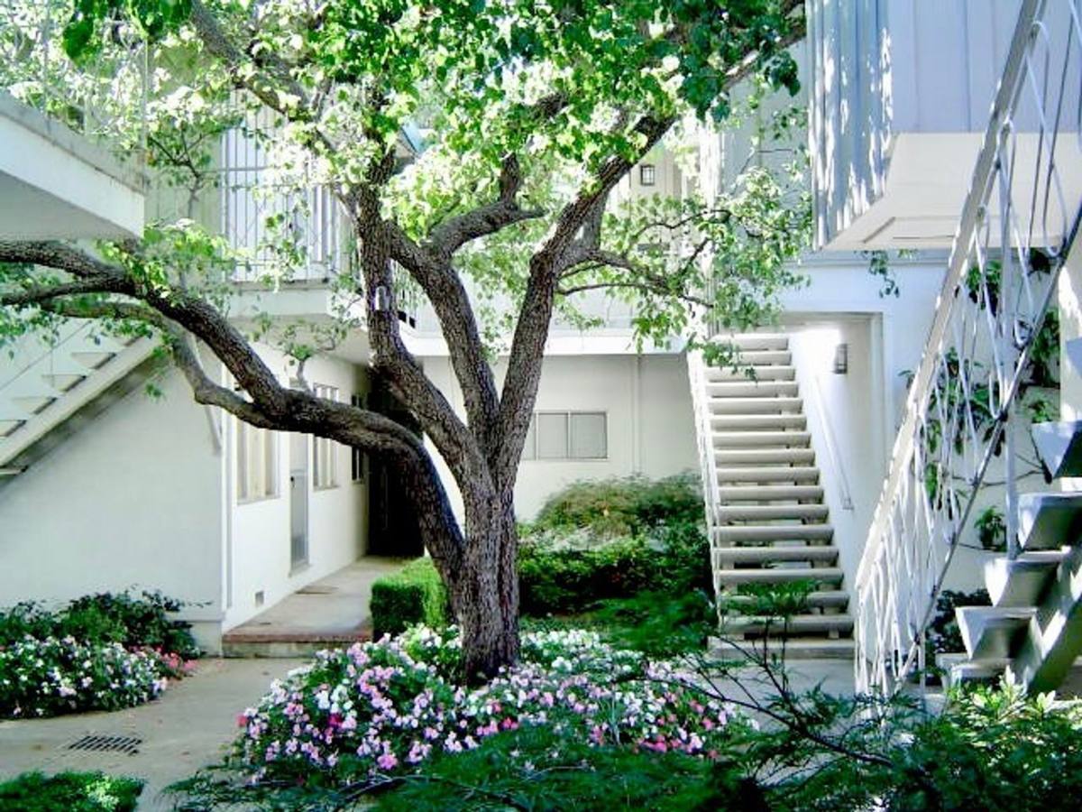 Apartment for rent at 3465 Alameda De Las Pulgas, Menlo Park, CA 94025