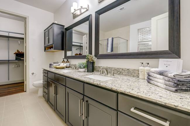 Apartment for rent at 2801 Waterwall Dr #WWP1, Houston, TX 77056