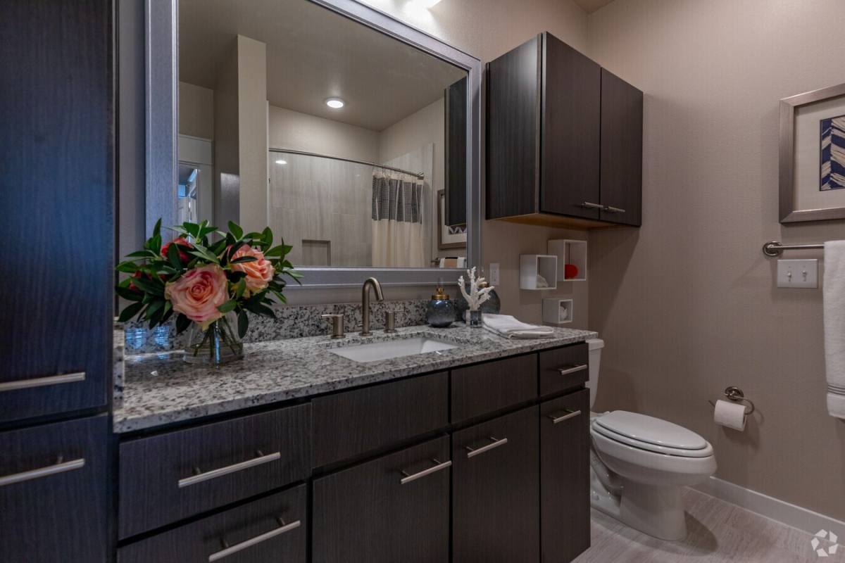 Apartment for rent at 1616 Partnership Way #SNTA2, Katy, TX 77449