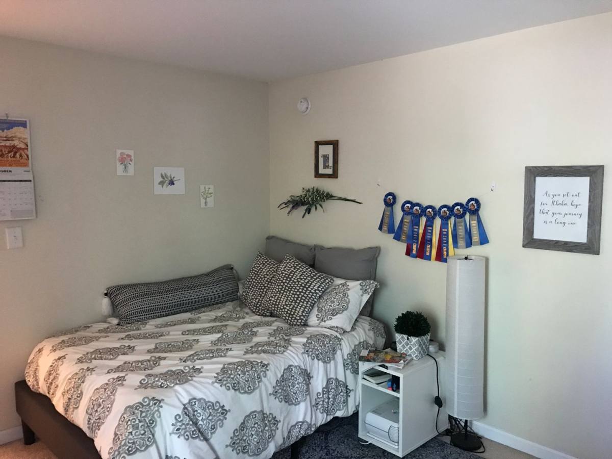 Apartment for rent at 445 McCauley St, Chapel Hill, NC 27516