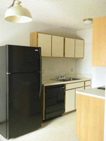 Apartment for rent at 209 N Belcrest Ave, Springfield, MO 65802