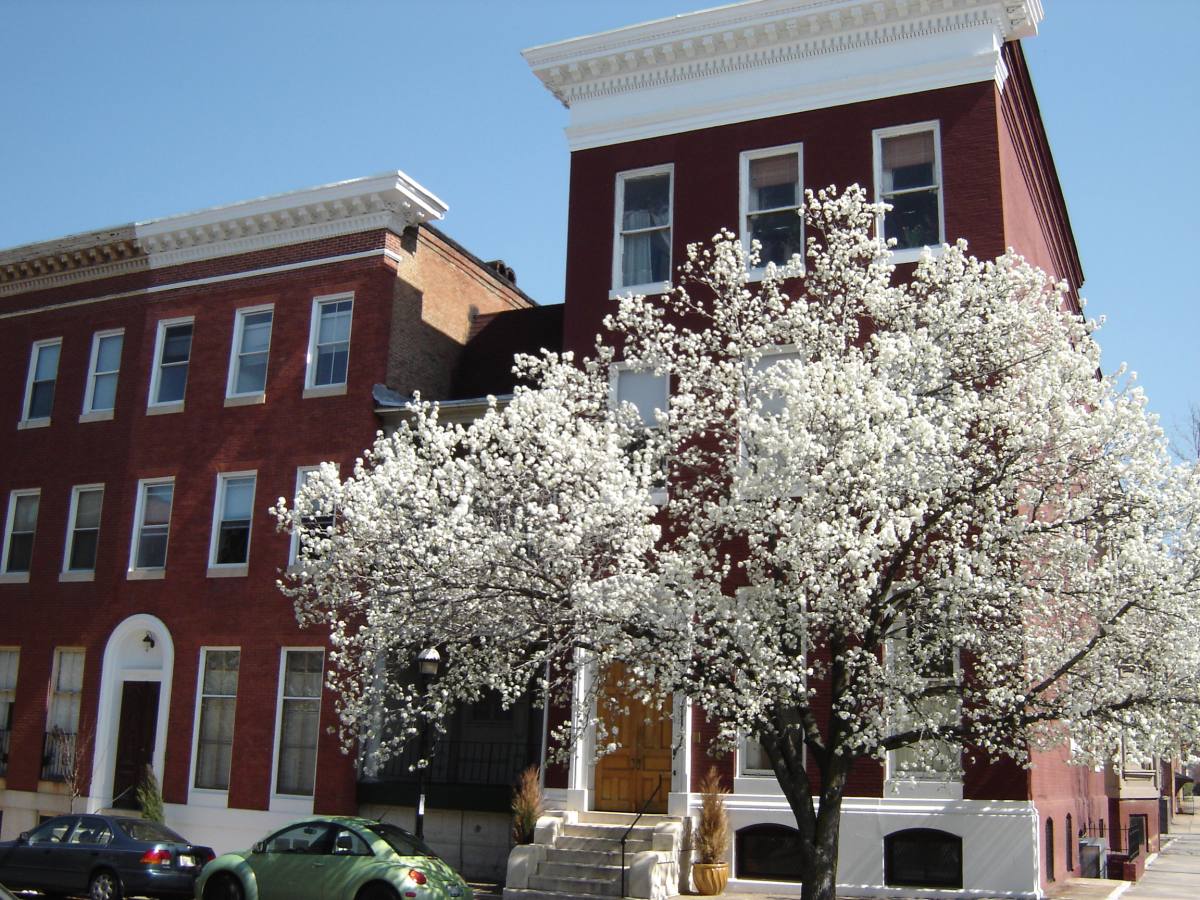Apartment for rent at 1403 Madison Ave #3R, Baltimore, MD 21217