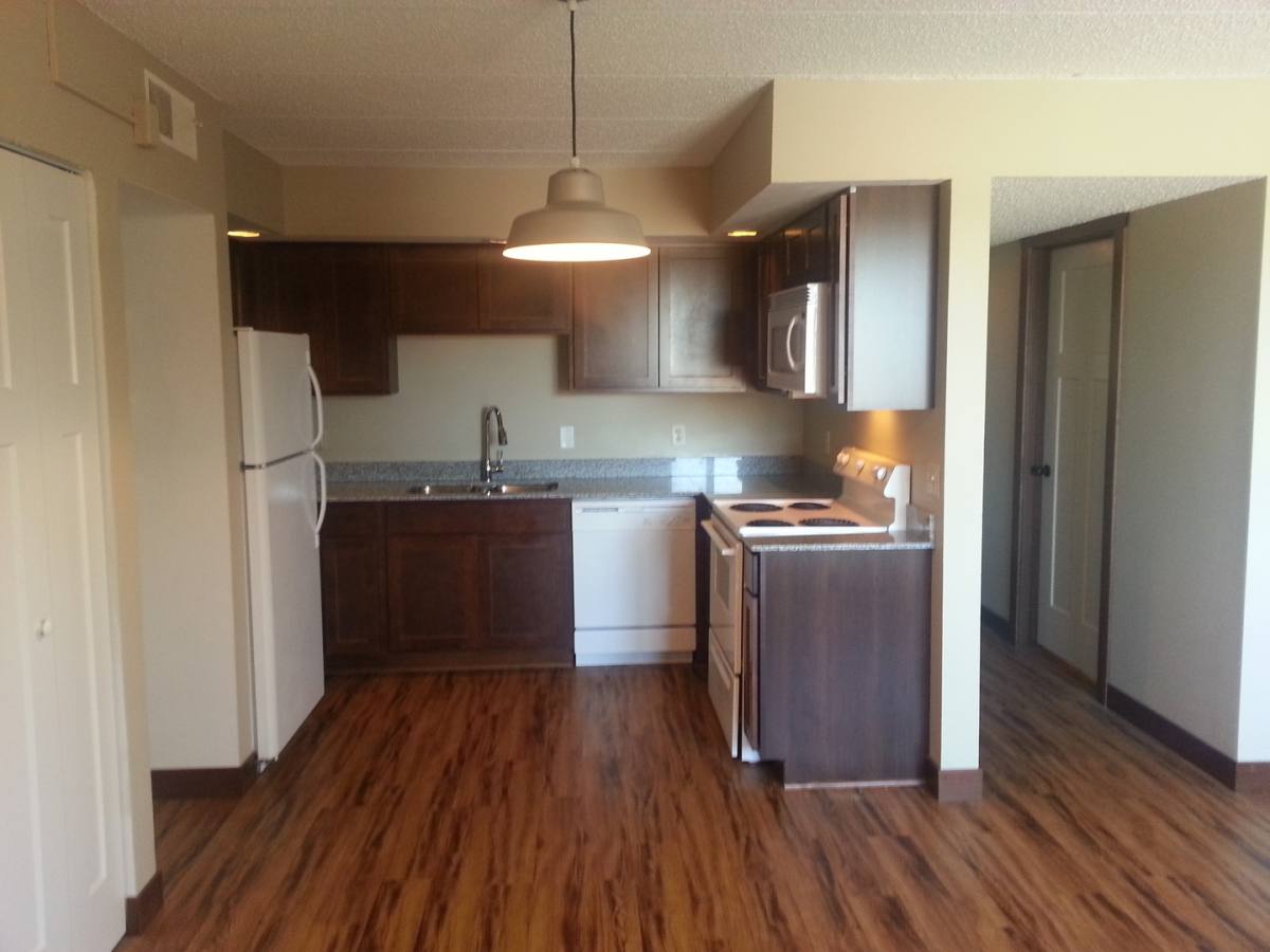 Apartment for rent at 1609 10th St SE, Rochester, MN 55904