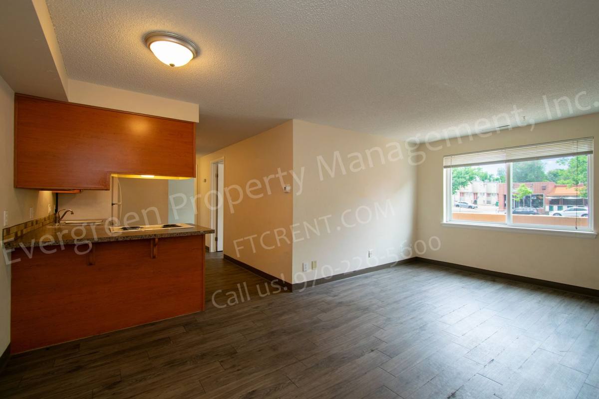 Apartment for rent at 113 W Myrtle St, Fort Collins, CO 80524