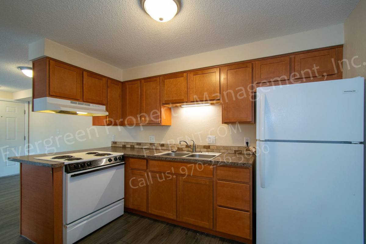 Apartment for rent at 113 W Myrtle St, Fort Collins, CO 80524
