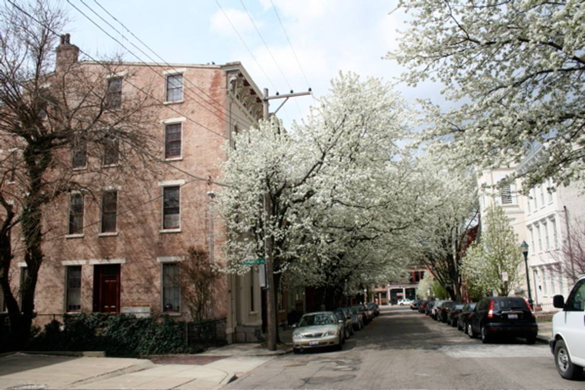 Apartment for rent at 225 Orchard St, Cincinnati, OH 45202