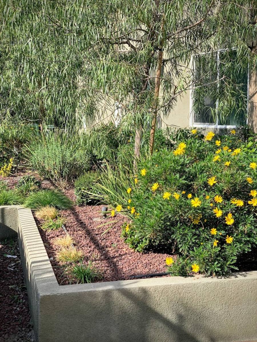 Apartment for rent at 15313 Cabrito Rd, Van Nuys, CA 91406