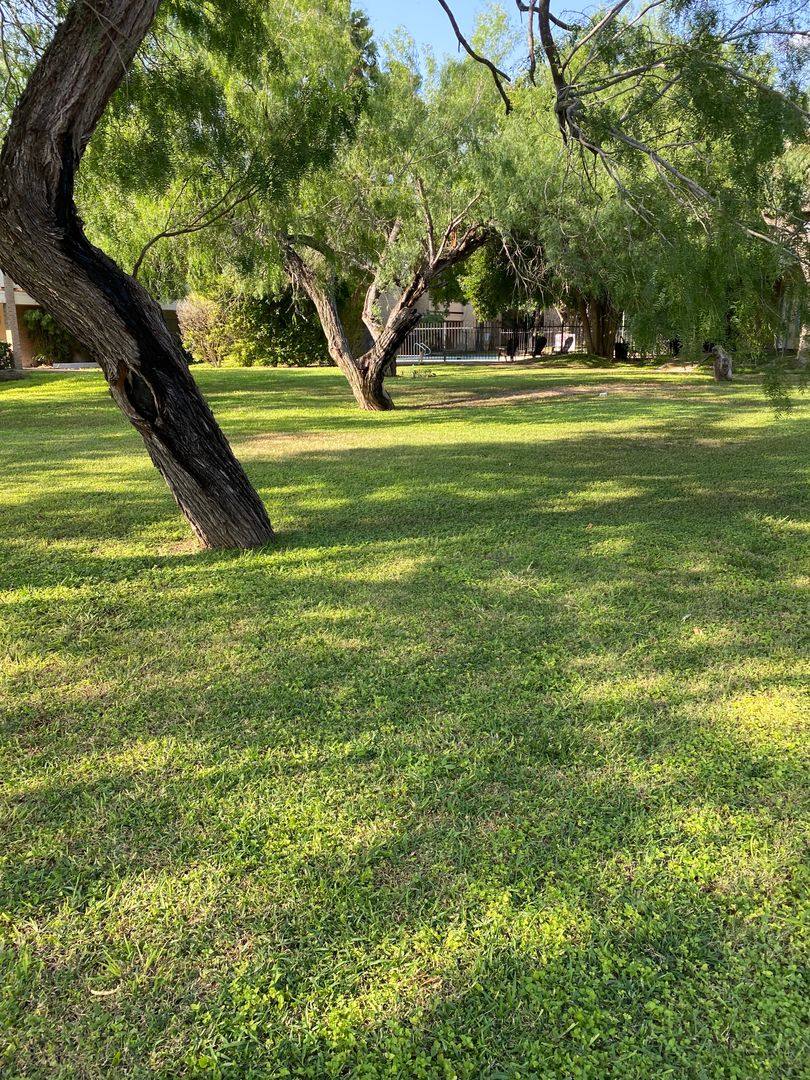 Apartment for rent at 700 Sunset, McAllen, TX 78503
